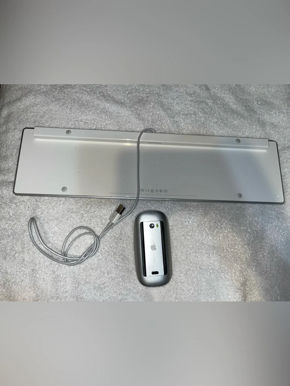 Apple Silver & White Wired Keyboard with White Magic Mouse